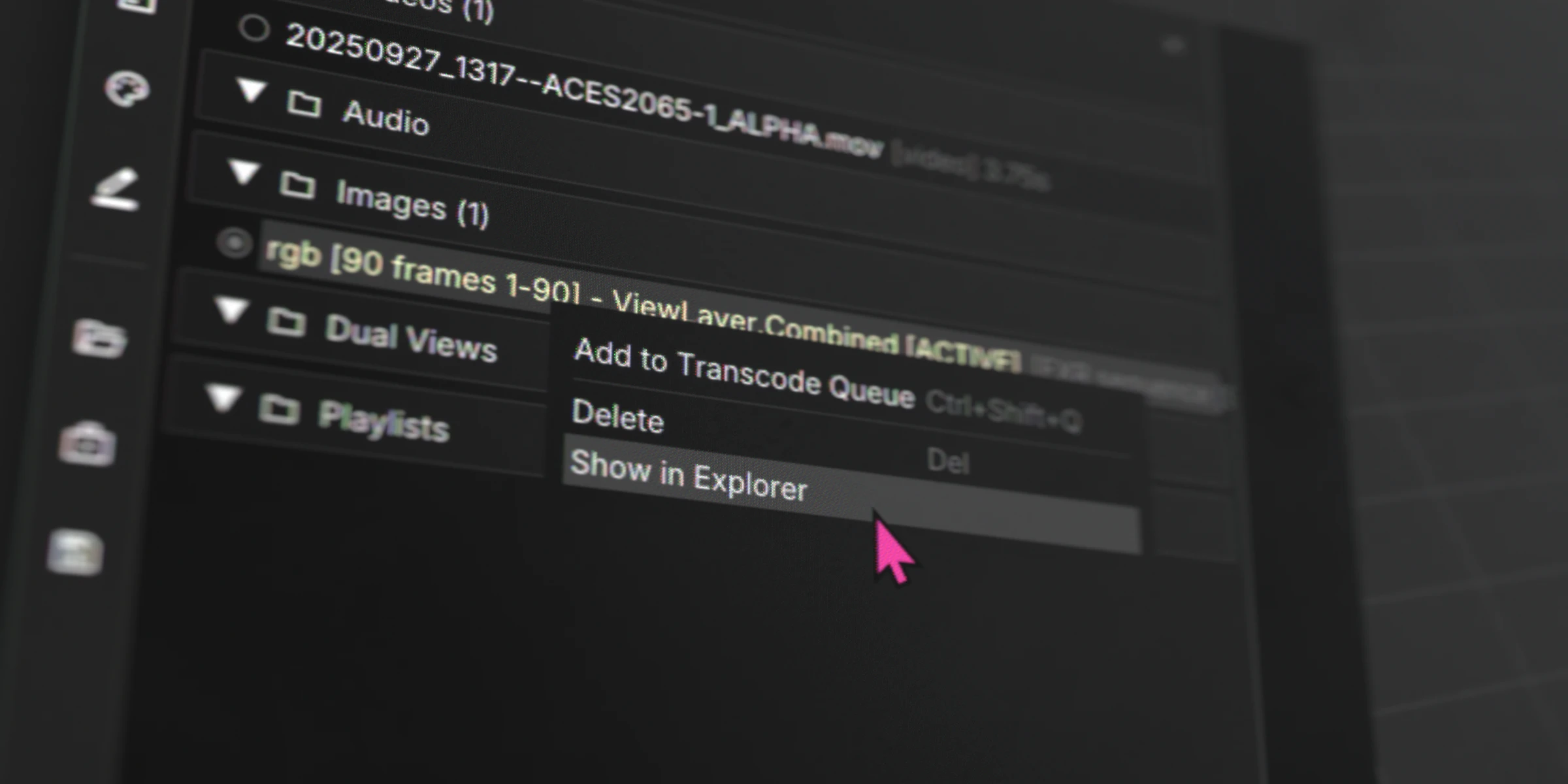 Project Manager panel