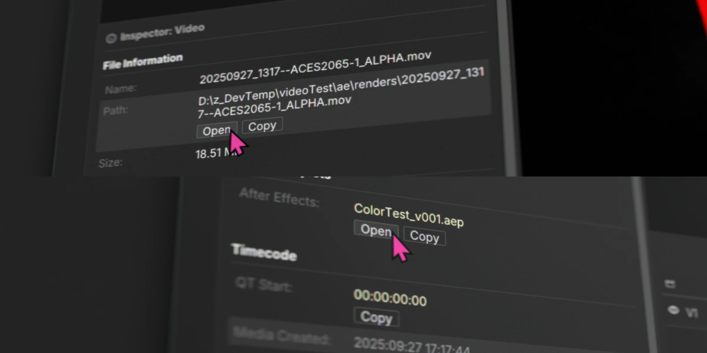 Inspector panel for video