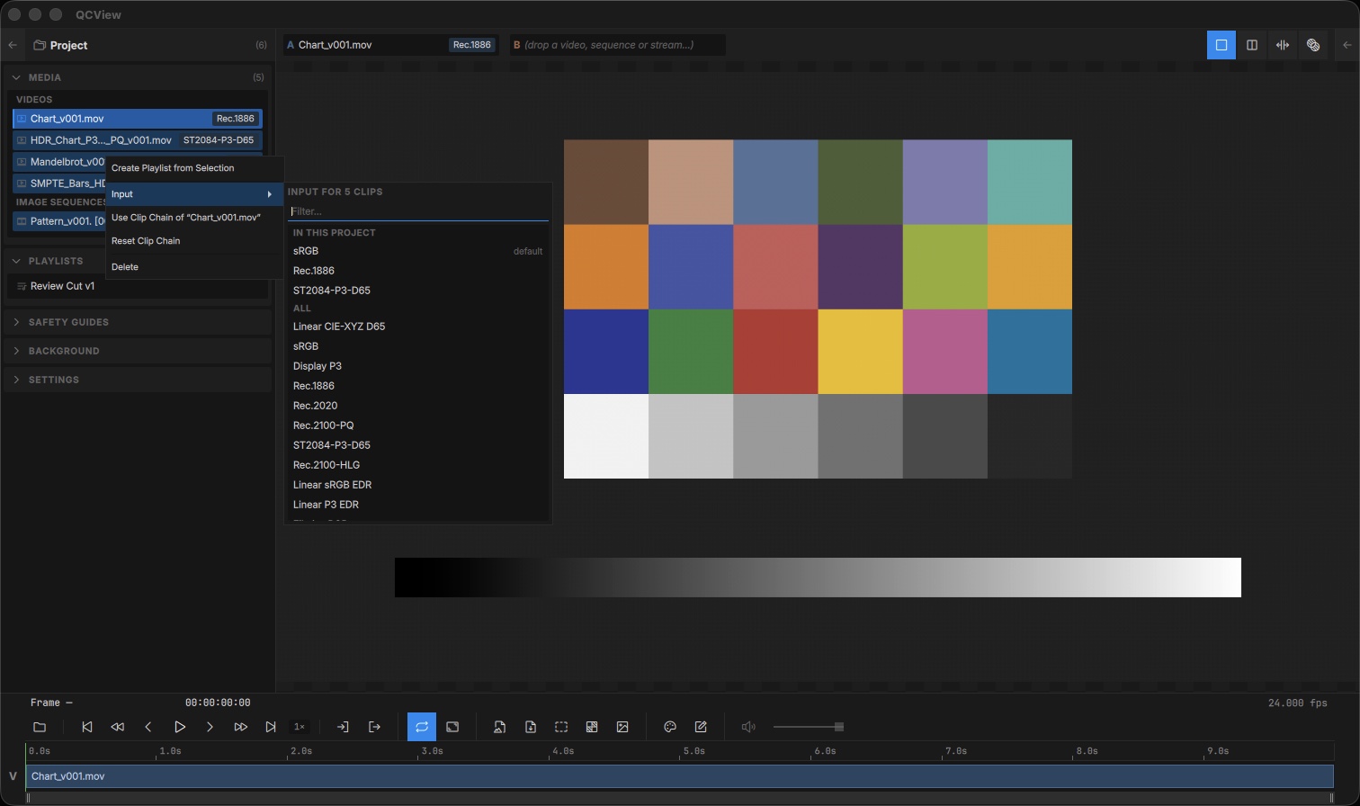 Clip badges and the bulk Input picker in the Project panel